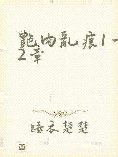 艳肉乱痕1一12章