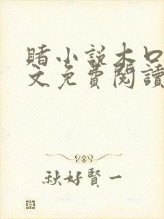 赌小说木口银全文免费阅读笔趣阁