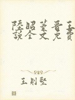 陆昭菱晋王的小说全文免费阅读