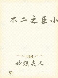 不二之臣小说