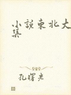 小说东北大炕全集