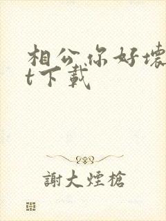 相公你好坏txt下载