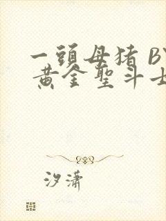 一头母猪 BY 黄金圣斗士