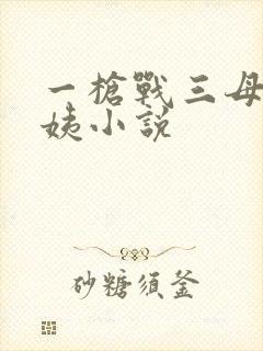 一枪战三母2雪姨小说