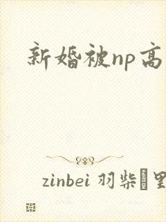 新婚被np高h