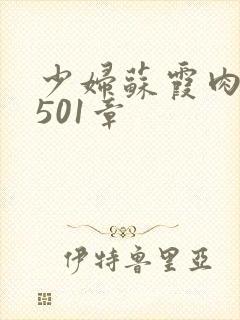 少妇苏霞肉欲第501章