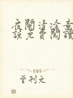 夜阑清冷意欢小说免费阅读