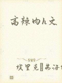 高辣肉h文