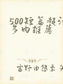 500短篇超污多肉推荐