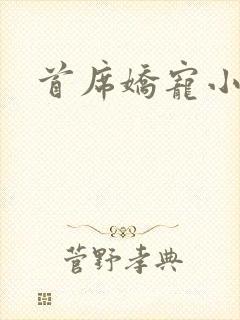 首席娇宠小情人