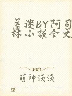 着迷BY阿司匹林小说全文免费阅读