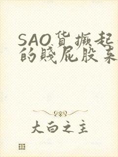 SAO货撅起你的贱屁股来