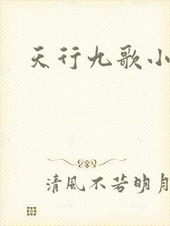 天行九歌小说