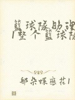 篮球队助理hv1整个篮球队