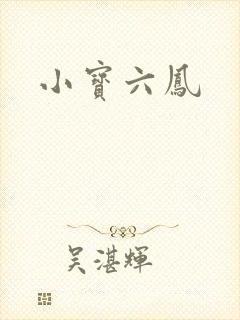 小宝六凤