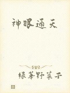 神眼通天
