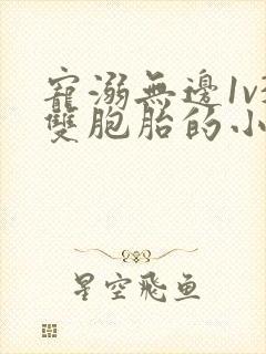 宠溺无边1v3双胞胎的小说