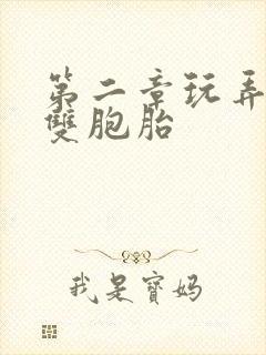 第二章玩弄校花双胞胎