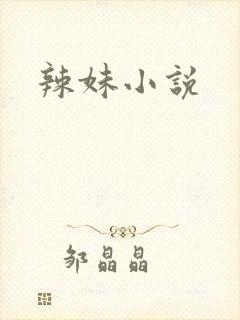 辣妹小说