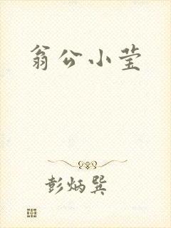 翁公小莹