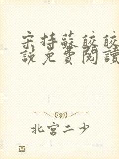 宋持苏皎皎的小说免费阅读