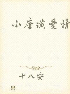 小唐璜爱情历史