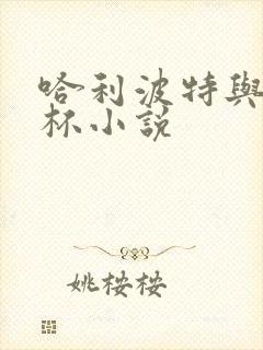 哈利波特与火焰杯小说