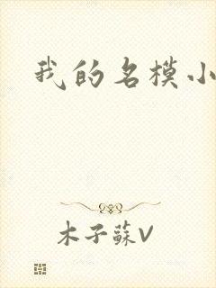 我的名模小娇妻