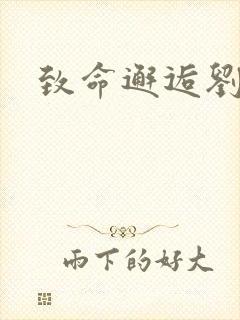 致命邂逅刘小寐