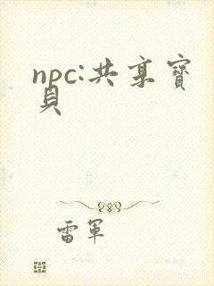 npc:共享宝贝