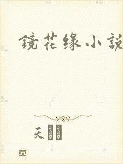 镜花缘小说