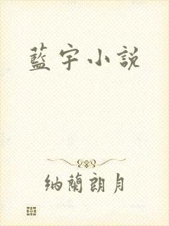 蓝宇小说
