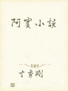 阿宾小说