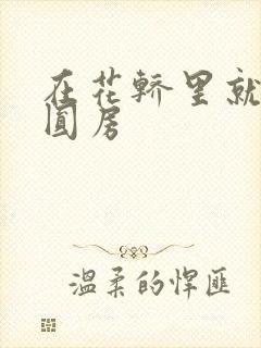 在花轿里就开始圆房