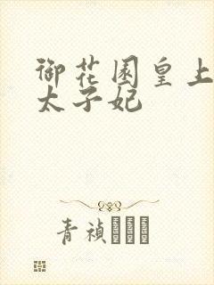 御花园皇上撞着太子妃