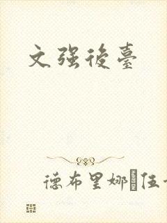文强后台