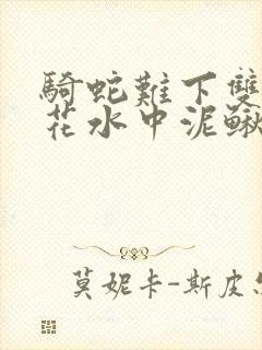 骑蛇难下双金银花水中泥鳅双男主