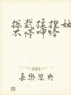 总裁揉捏她两乳不停呻吟