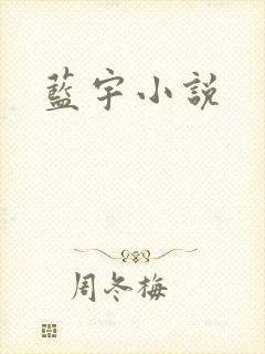 蓝宇小说