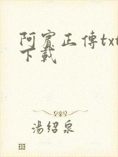 阿宾正传txt下载