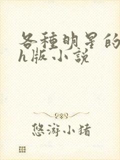 各种明星的综艺h版小说