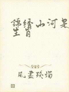 锦绣山河是什么生肖