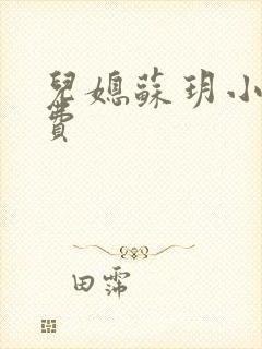 儿媳苏玥小说免费