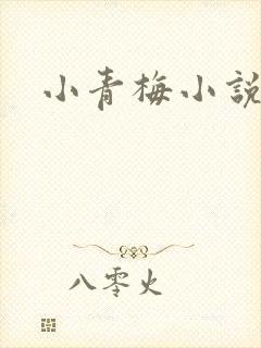小青梅小说