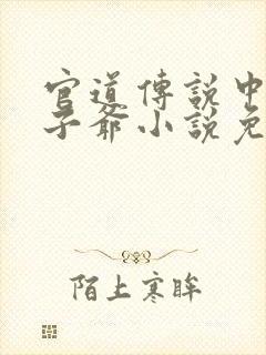 官道传说中的太子爷小说免费阅读