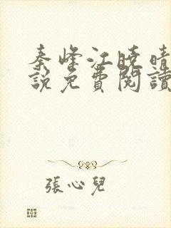 秦峰江晓晴的小说免费阅读