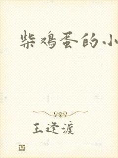 柴鸡蛋的小说