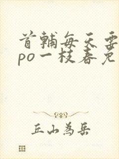 首辅每天要不够po一枝春免费阅读