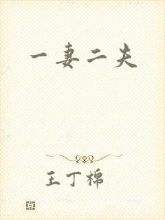 一妻二夫
