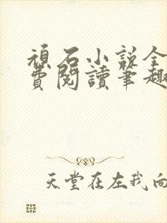 顽石小说全文免费阅读笔趣阁